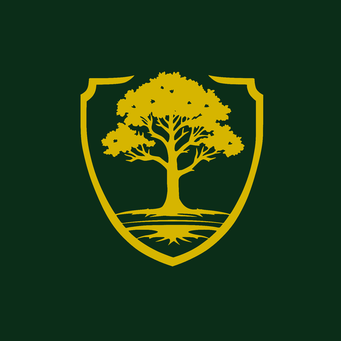 Modern Minimal Logo