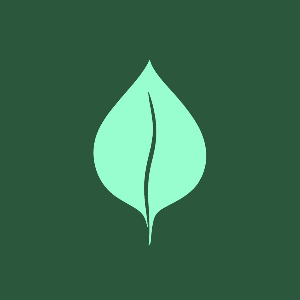 Modern Minimal Logo