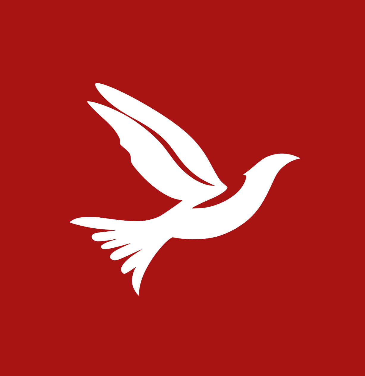Modern Minimal Logo